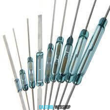 Reed Switch 2*14mm